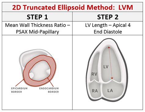 what is lv mass 2d.